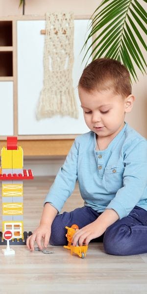 Desenvolvimento de Habilidades de Vida Adaptativa